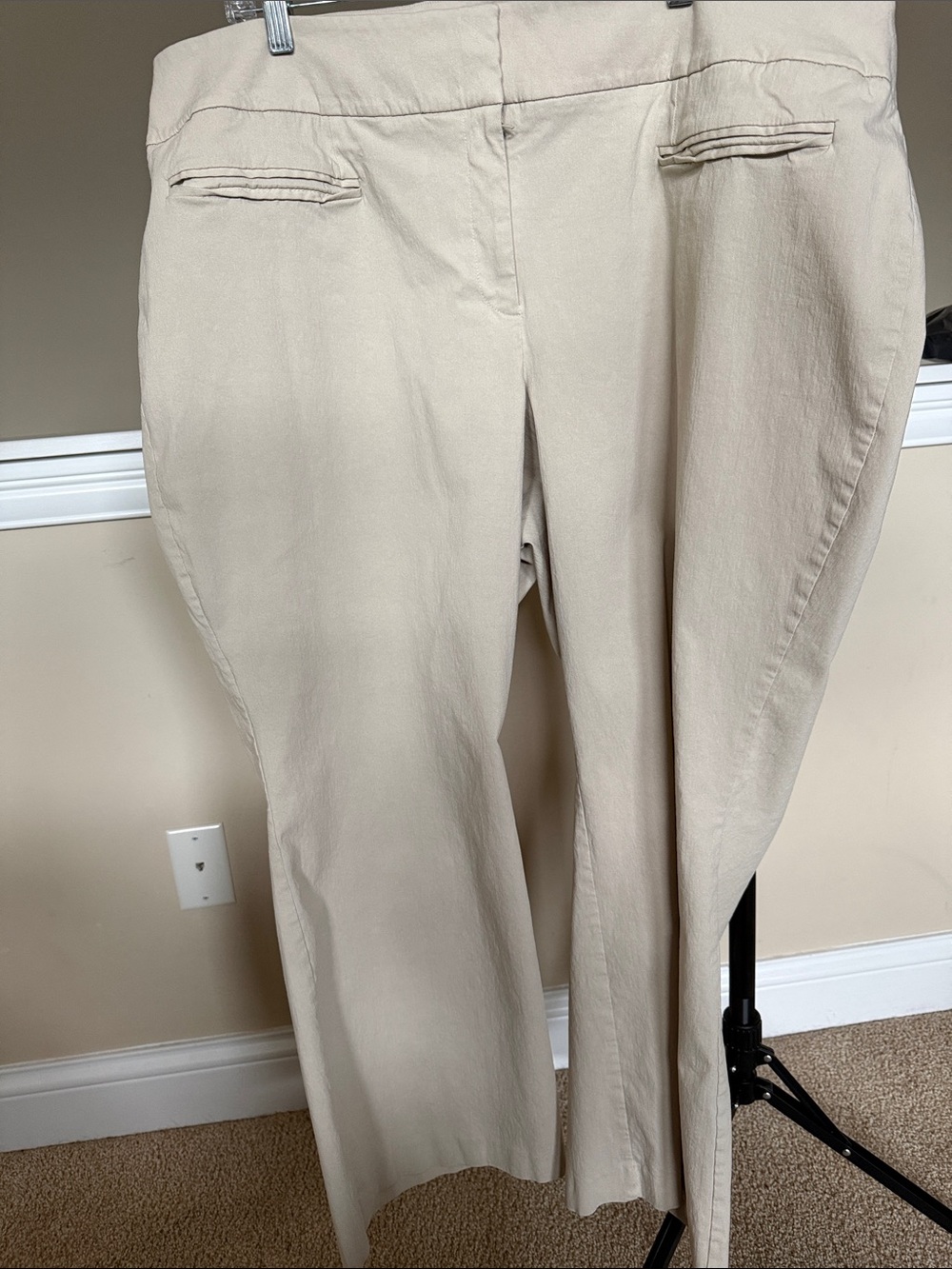 Lane Bryant Cream Petite Trousers
